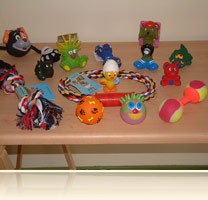 Jouets pour chien